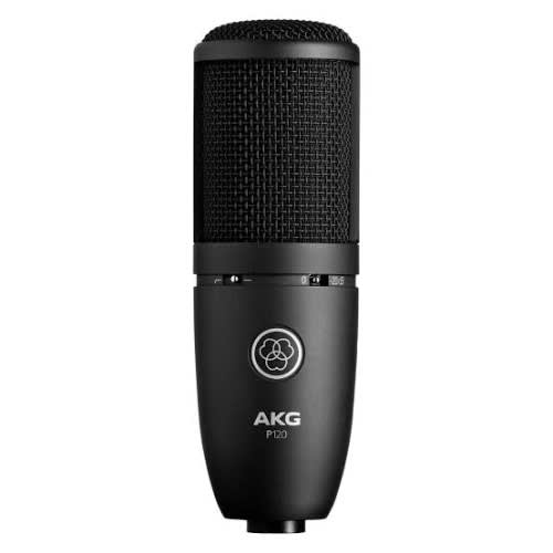 P120 General Purpose Recording Microphone