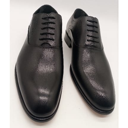 Men Laceup Shoe