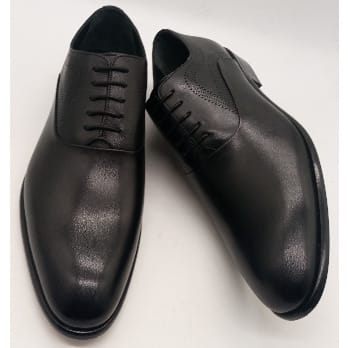 Men Laceup Shoe