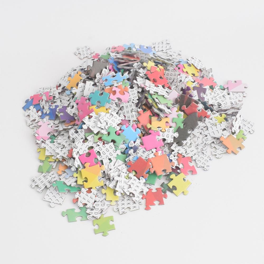1000 Pcs Colorful Rainbow Round Geometrical Photo Puzzle