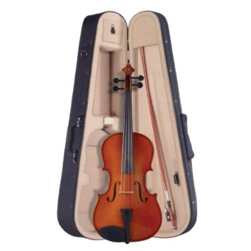 Professional 4/4 Violin With Complete Accessories