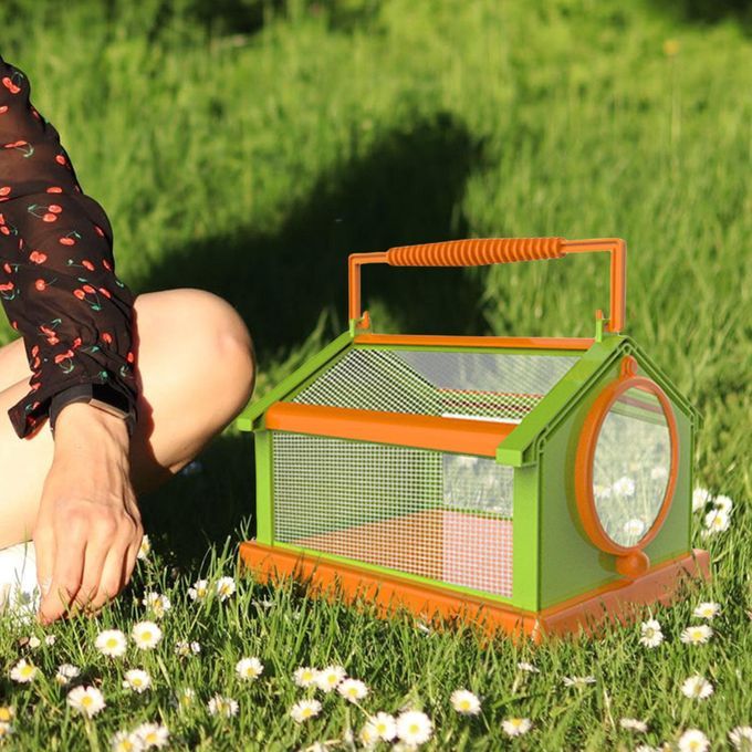 Folding Insect Butterfly Habitat Cage Collapsible W/ Green Orange