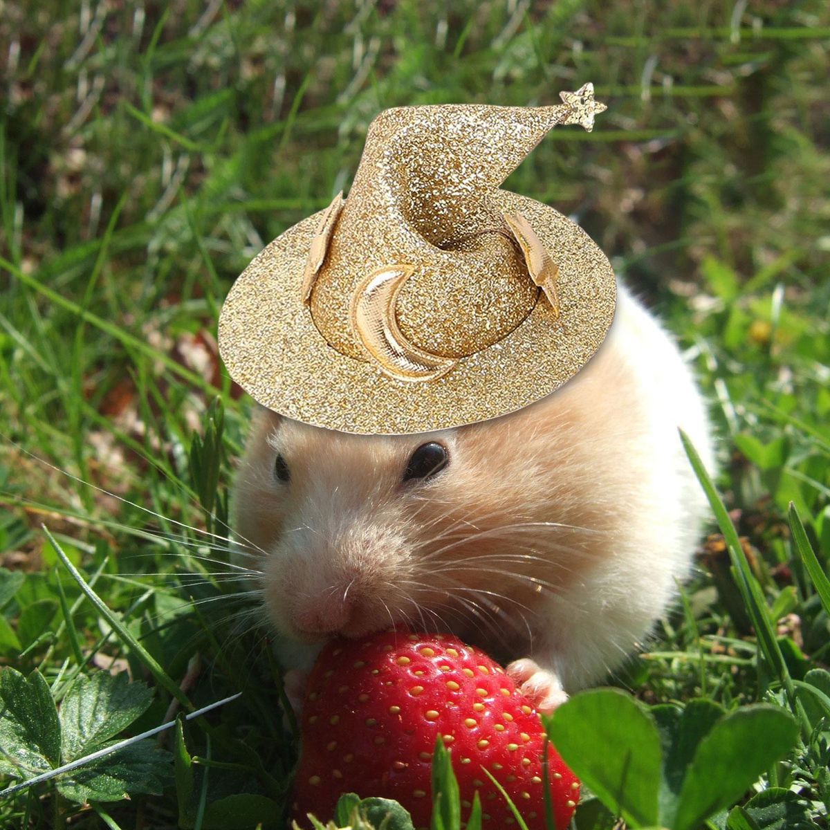 Pet Hats Funny  Headwear Plush Headgear Aureate