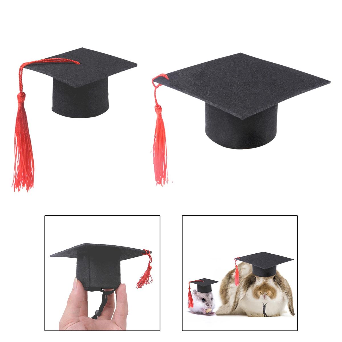 Tiny Graduation Hat Apparel Halloween Clothes