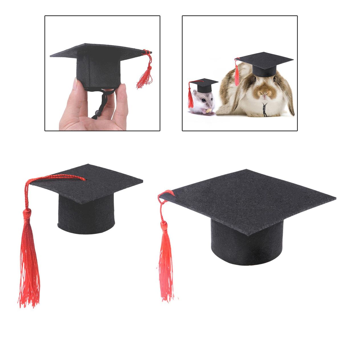 Tiny Graduation Hat Apparel Halloween Clothes
