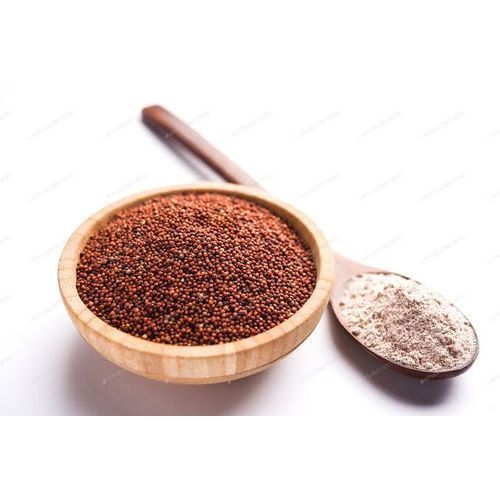 Finger Millet Seed - 500g