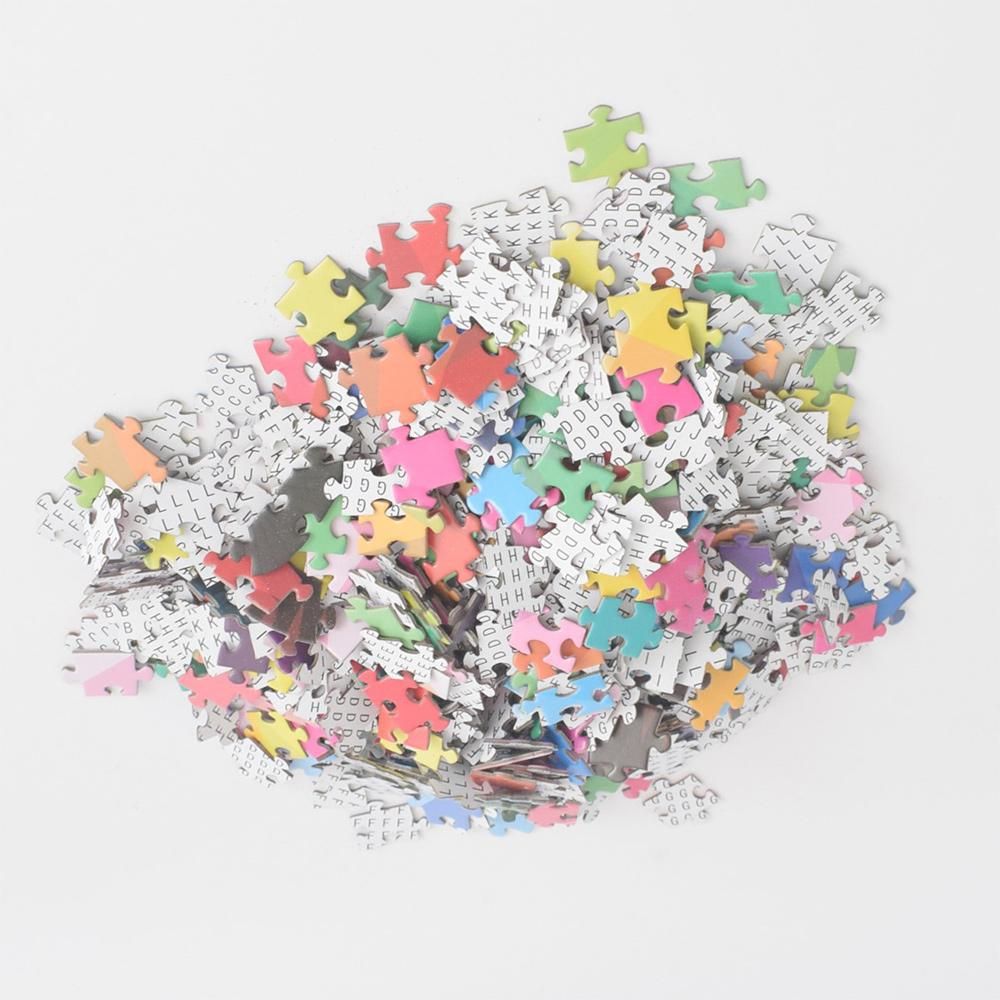 1000 Pcs Colorful Rainbow Round Geometrical Photo Puzzle Adult Kids DIY Educational Toy Jigsaw Puzzle Paper