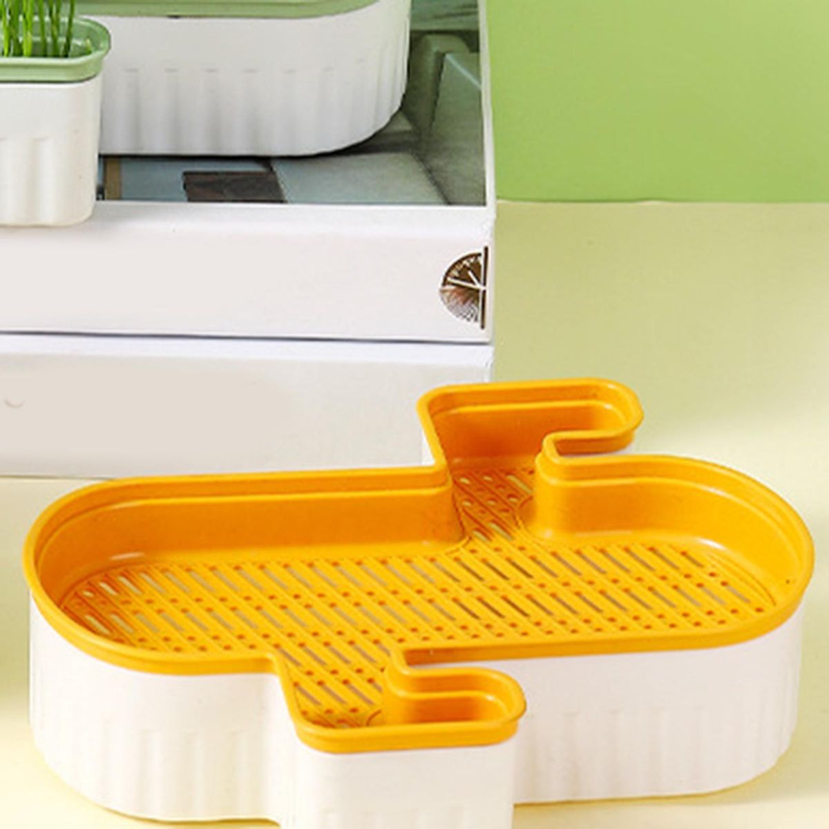 Seed  Trays  Cats  For Orange