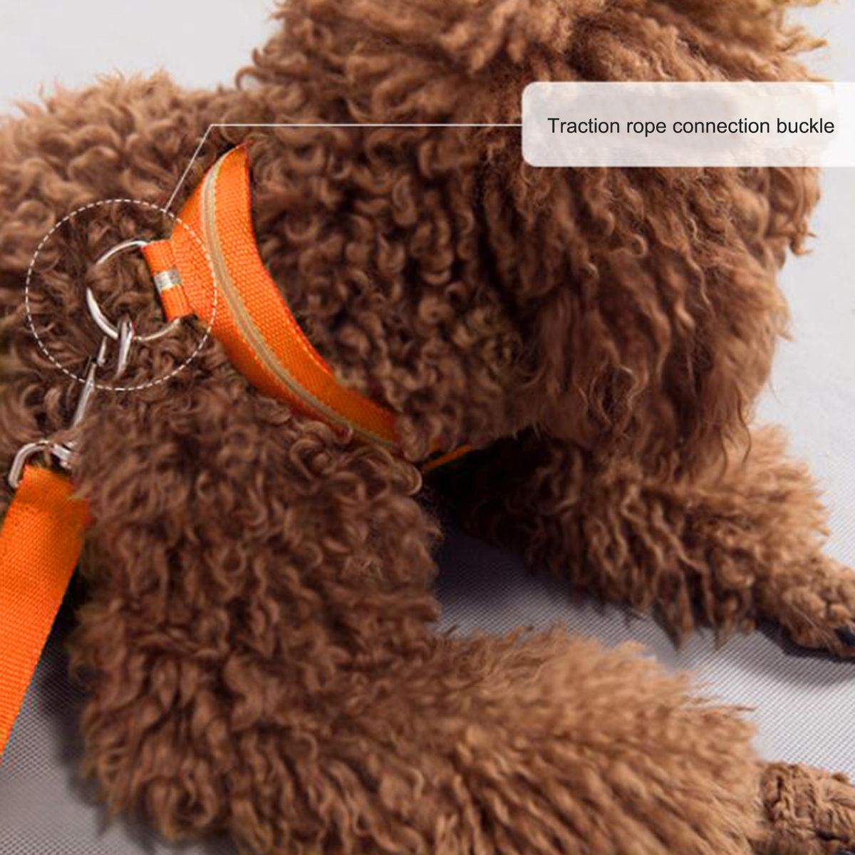 Pet Light Up LED Collar Dog Leash, Silk Mesh Nylon