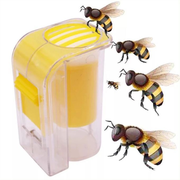 Queen Marking Catcher Cage Holder Reusable Plastic Handed