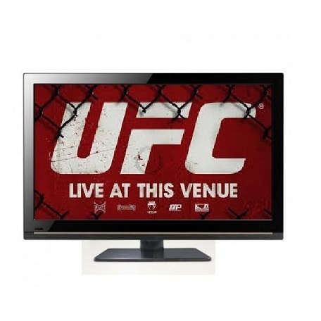 Ufc 19