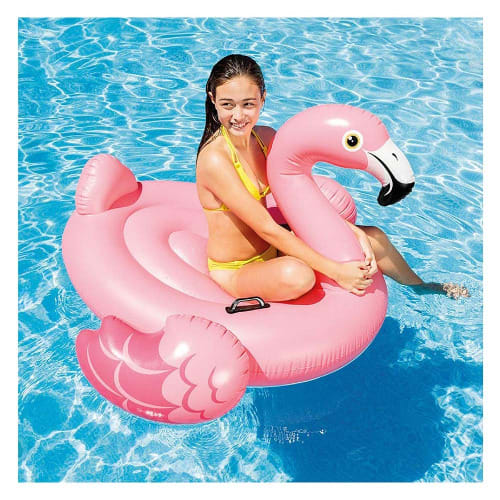 Flamingo Ride On