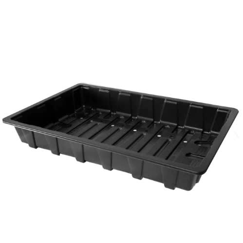 Seed Tray