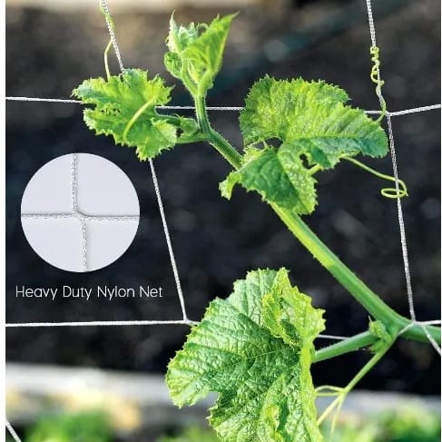 Staking Net For Cucumber Plants - 100m
