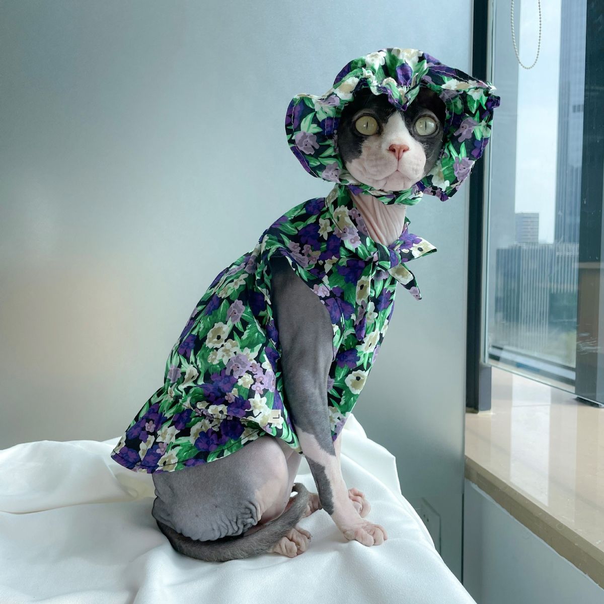 Cat Shirt Summer Thin Pet Dress Floral Dress Sphinx Hairless Cat Hat-purple
