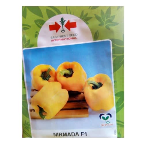 East-West - Hybrid Yellow Sweet Bell Pepper Seed - Nirmanda F1  - 1000 Seeds