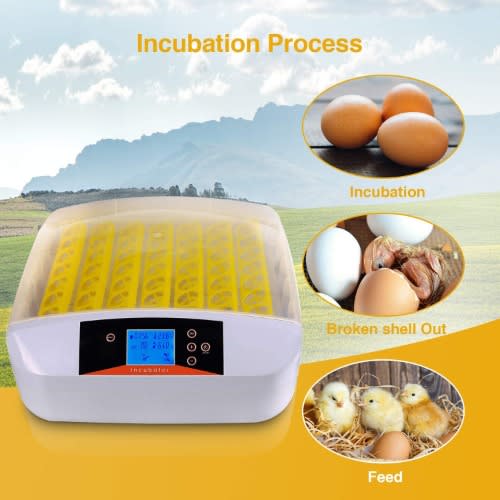 56 Automatic Eggs Incubator 220v