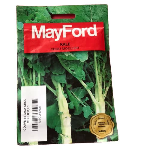 Kale Seed (chou Moellier) -10g