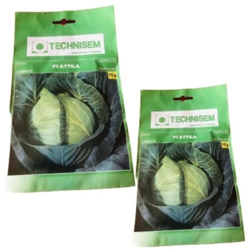 Technisem Hybrid Cabbage Seed (attila F1 ) -10g - 2 Packs