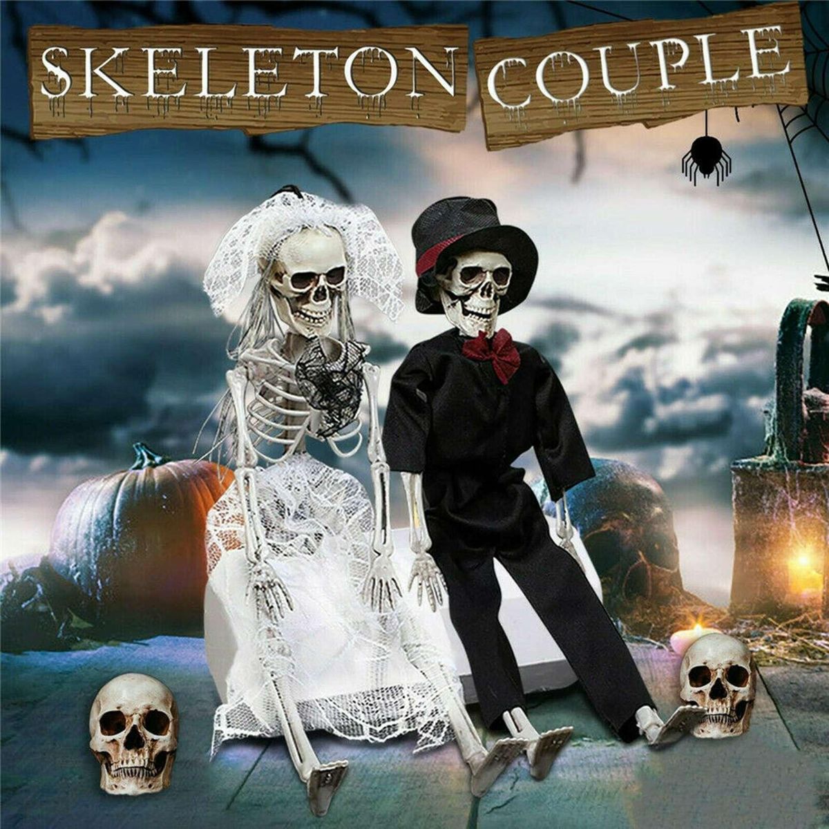 Poseable Human Couple Skeleton Prop