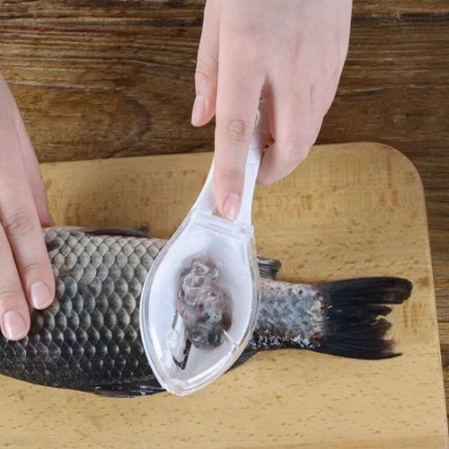 Fish Scaler Tool Scraping Fish Scraper