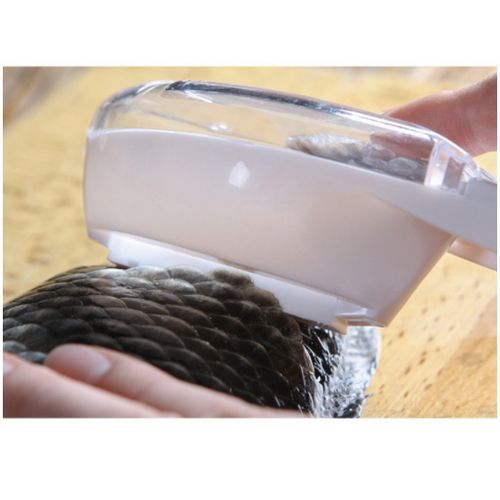 Fish Scaler Tool Scraping Fish Scraper