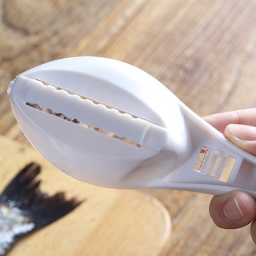 Fish Scaler Tool Scraping Fish Scraper