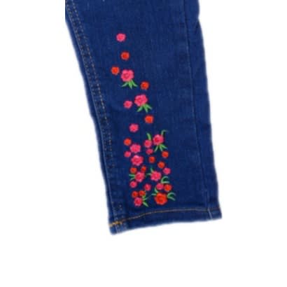 Girls Floral Embroidery Skinny Jeans  - ( Size Runs Small)