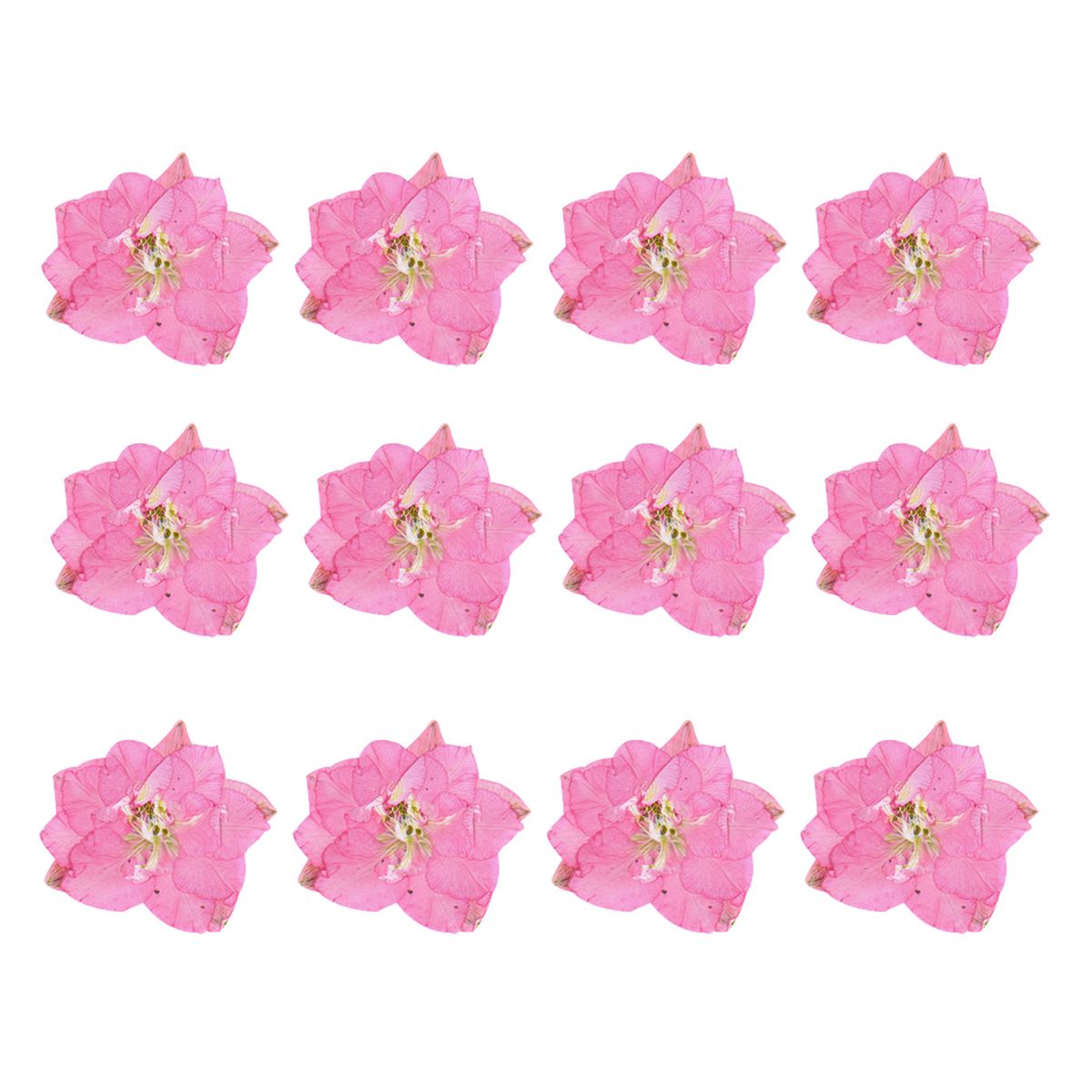 12Pcs Dried Flowers Epoxy Resin DIY Creation-Dark Pink