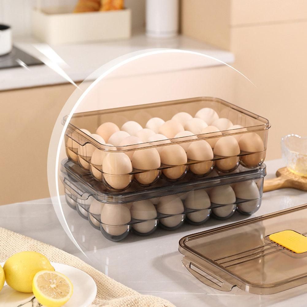 Kitchen Large Capacity Egg Storage Box Refrigerator Plastic