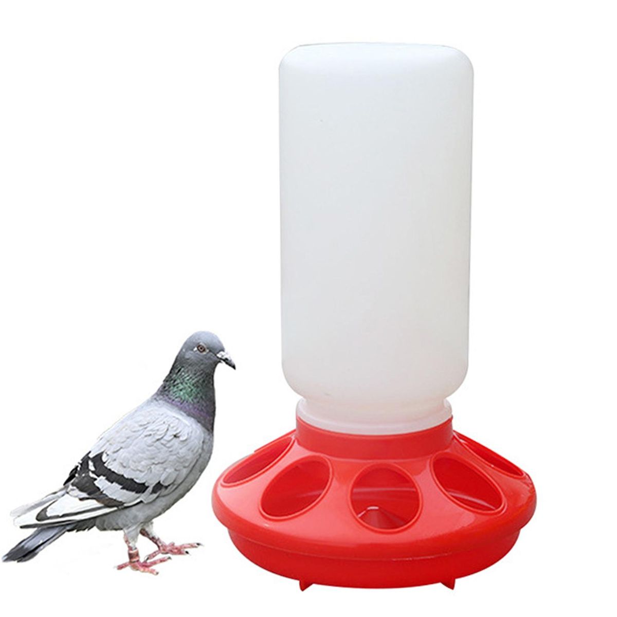 Sturdy Chicken Feeder Feather-friendly Poultry Feeders 2 Pack Red