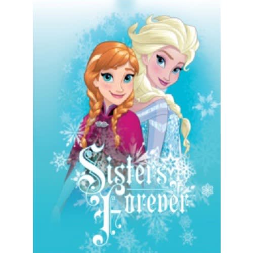 Sisters Forever Frozen Long Sleeve Turquoise Top