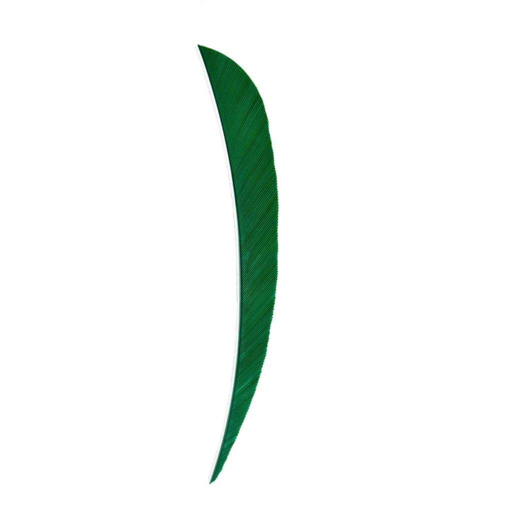 12pcs Arrow Turkey Feather Fletching Archery Fletches Vanes Dark Green