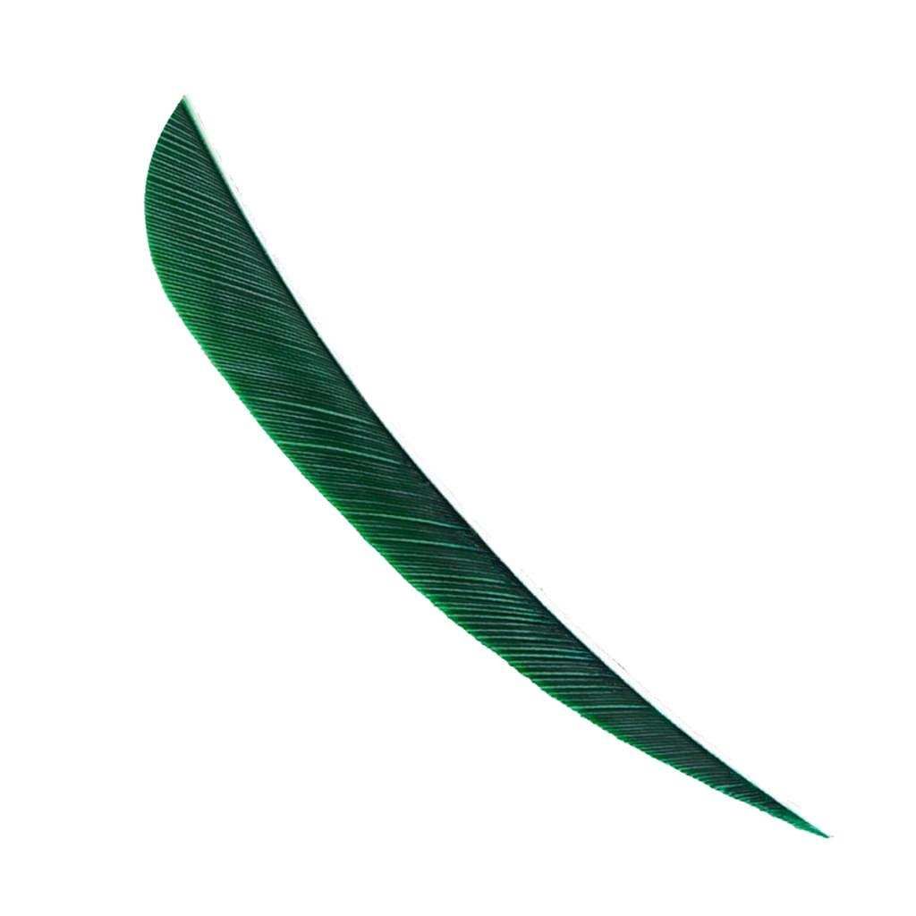 12pcs Arrow Turkey Feather Fletching Archery Fletches Vanes Dark Green