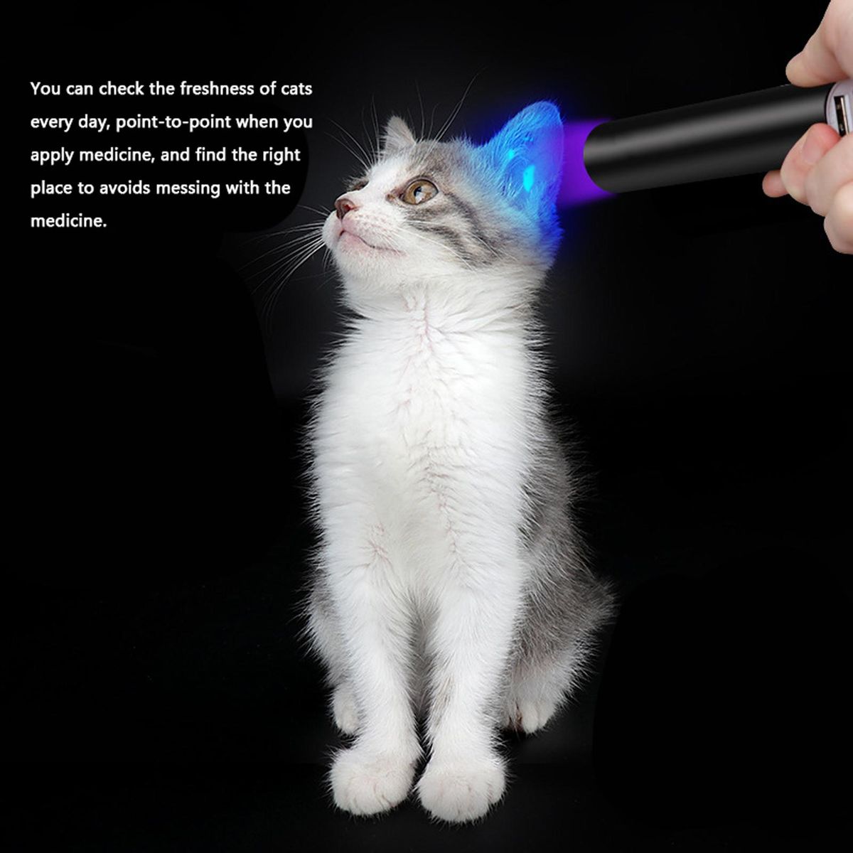 UV 365nm Fungus Test Lamp Light USB Chargings Ultraviolet Light Flashlight Fluorescent Detection Lamp Ringworm Light