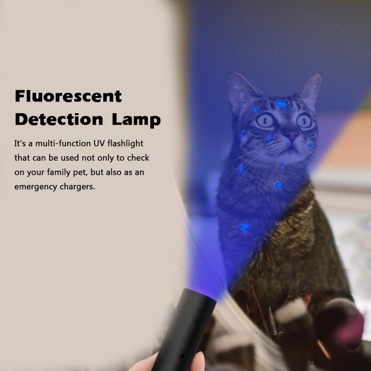 UV 365nm Fungus Test Lamp Light USB Chargings Ultraviolet Light Flashlight Fluorescent Detection Lamp Ringworm Light