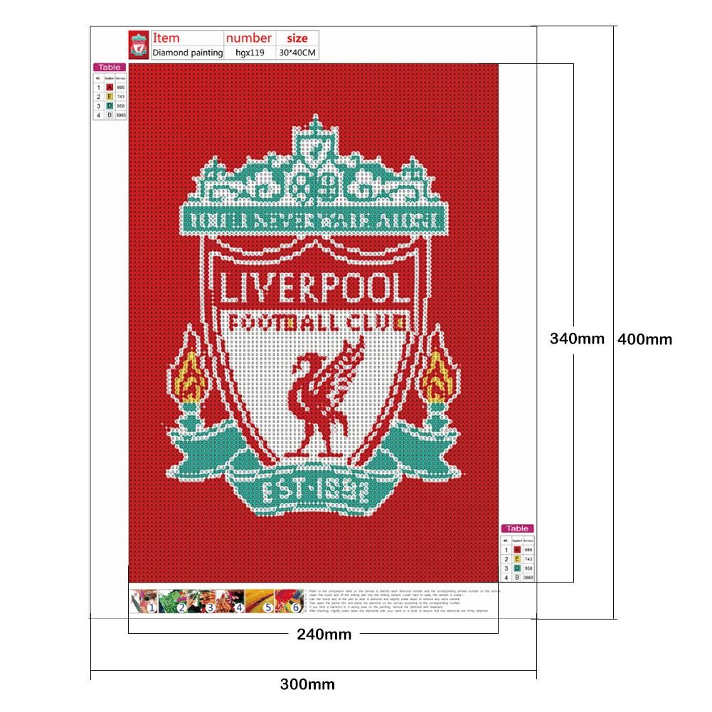 5D DIY Full Drill Diamond Painting Liverpool Embroidery Mosaic Kit Decor 30X40cm