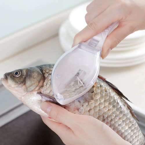 Fish Scale Remover