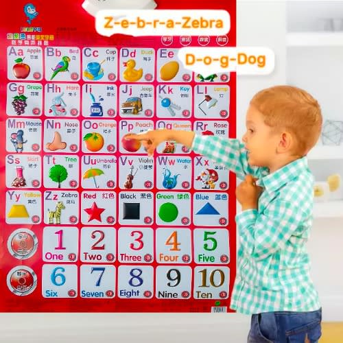 Kids Audio Educational Wall Chart