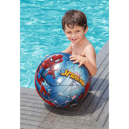 Spider Beach Ball