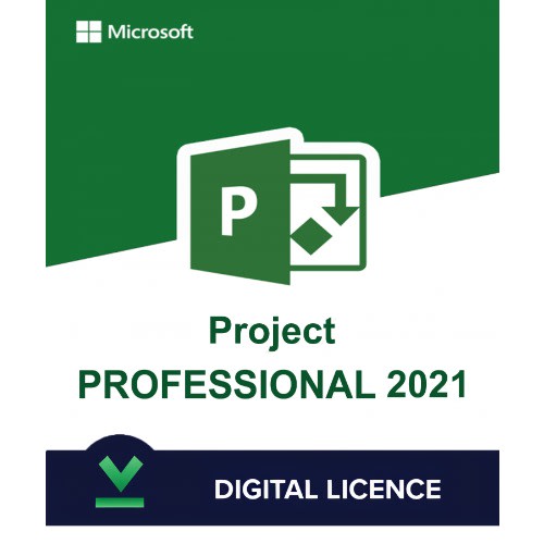 Project Professional 2021-1 User