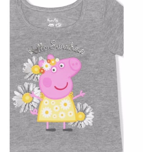 Toddler Girls Top & Tutu Skirt Set