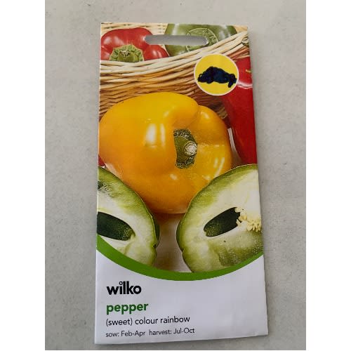 Sweet Pepper-colour Rainbow -50 Seeds