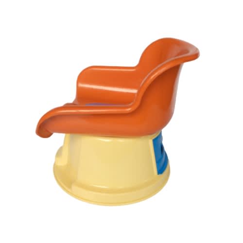 Toddler Potty Chair