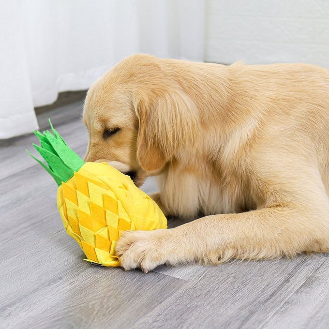 Intelligen E And Health Slow Food Training Smell Toys Dog Toys Pet Su Lies-yellow