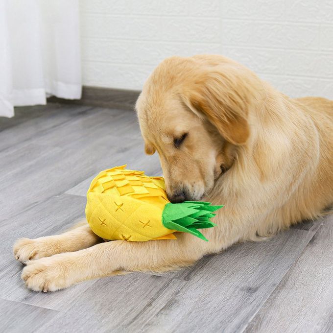 Intelligen E And Health Slow Food Training Smell Toys Dog Toys Pet Su Lies-yellow