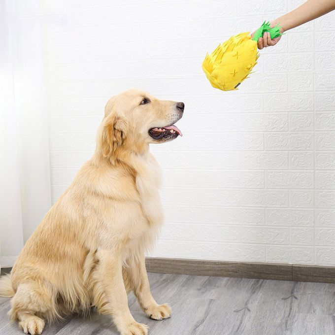 Intelligen E And Health Slow Food Training Smell Toys Dog Toys Pet Su Lies-yellow