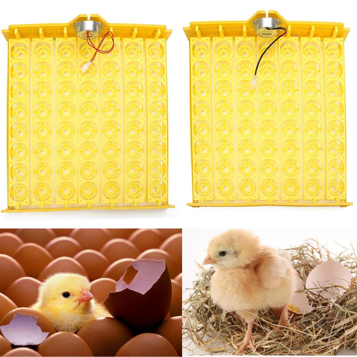 Automatic 56 Chicken Egg Turner Tray Quail Duck Incubator With 110V/220V Motor-220V