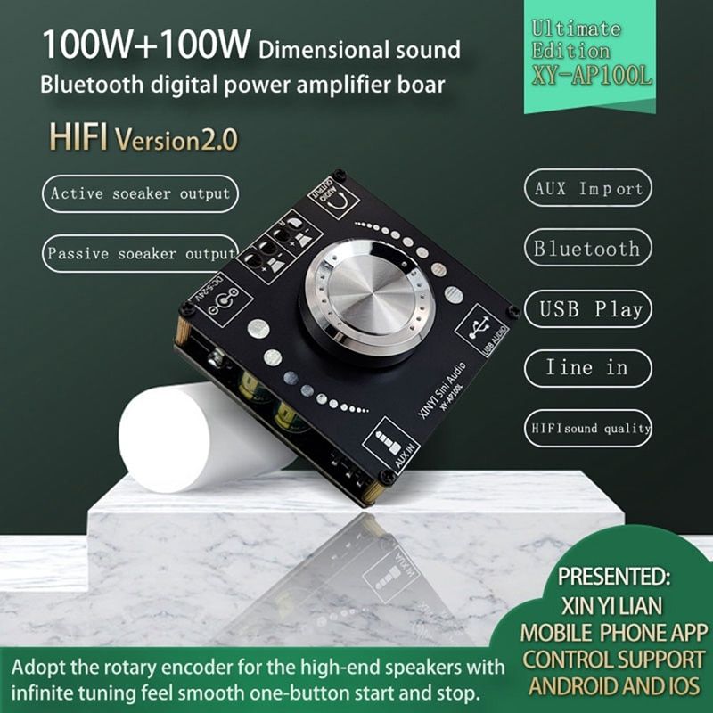 XY-AP100L 100WX2 Bluetooth 5.0 Stereo Amplifier Board AUX USB Sound Card Digital Power Amp Amplificador DC 12V 24V