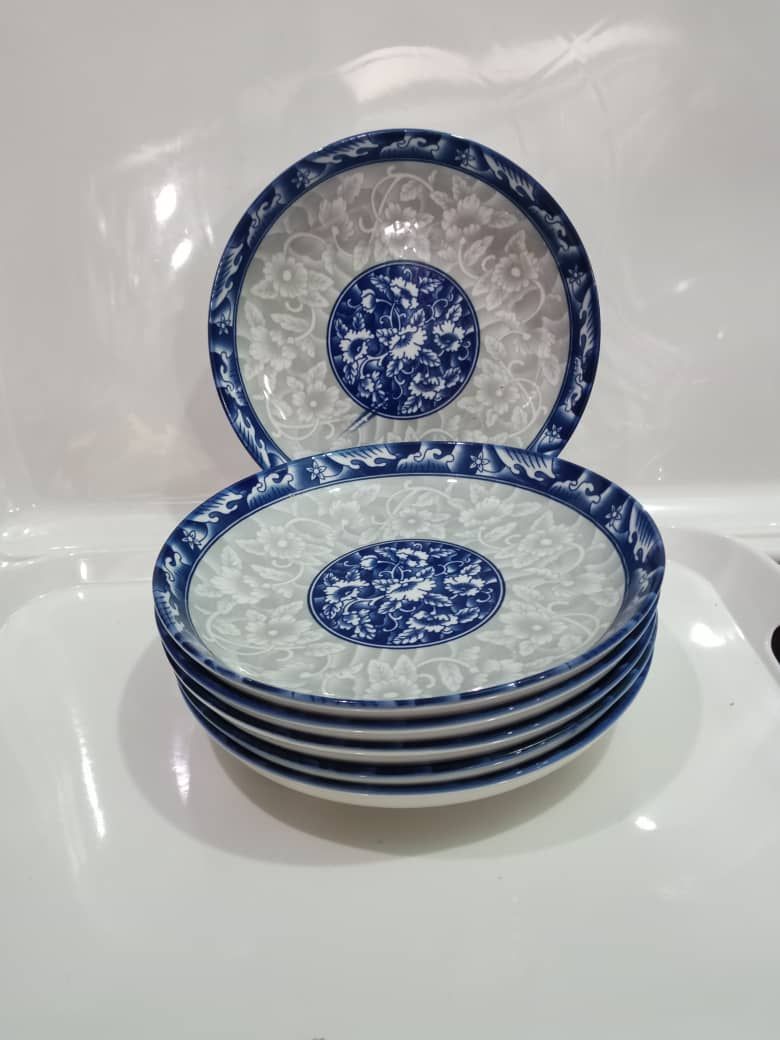 6 Big Pieces Flowered Breakable Plates